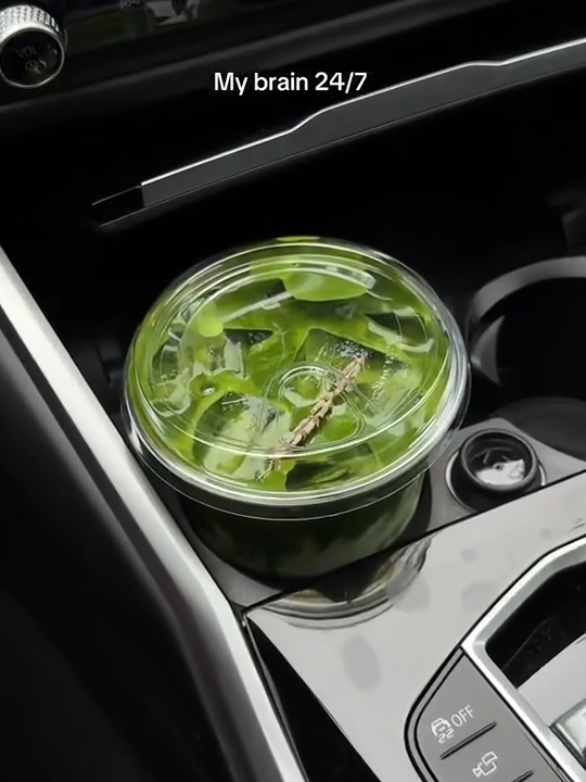 người dùng tiktok quay lại cảnh đi làm cùng với ly matcha latte mỗi ngày người dùng tiktok quay lại cảnh đi làm cùng với ly matcha latte mỗi ngày
