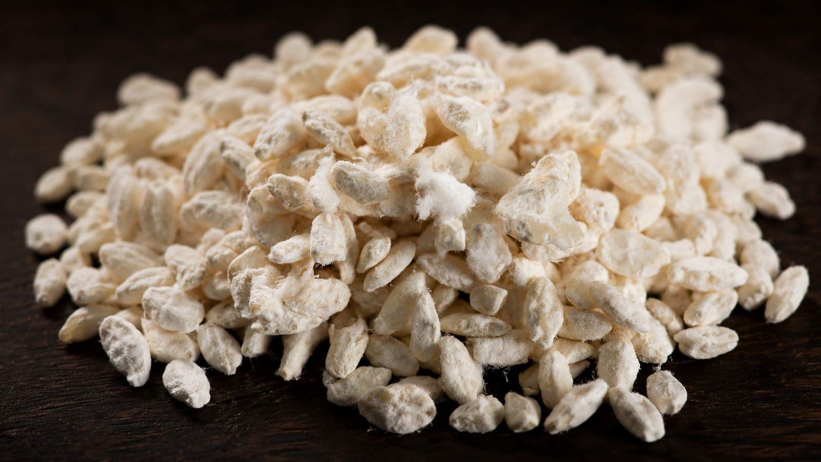 Aspergillus oryzae biến gạo thành nguồn enzyme mạnh