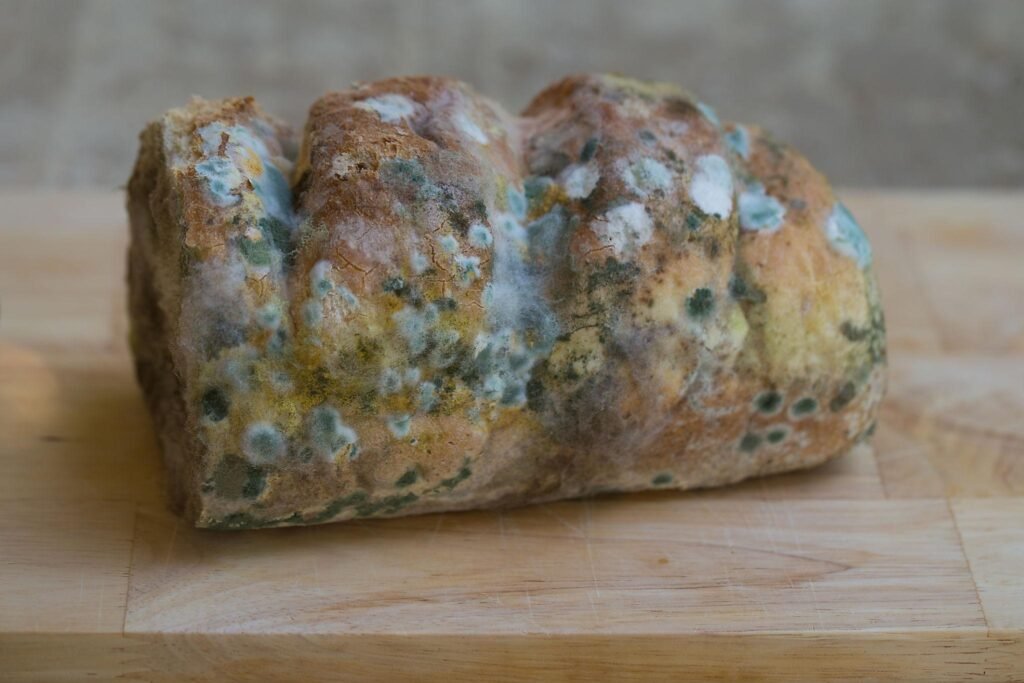 Bánh mì bị mốc sau khoảng trung bình 3–4 ngày