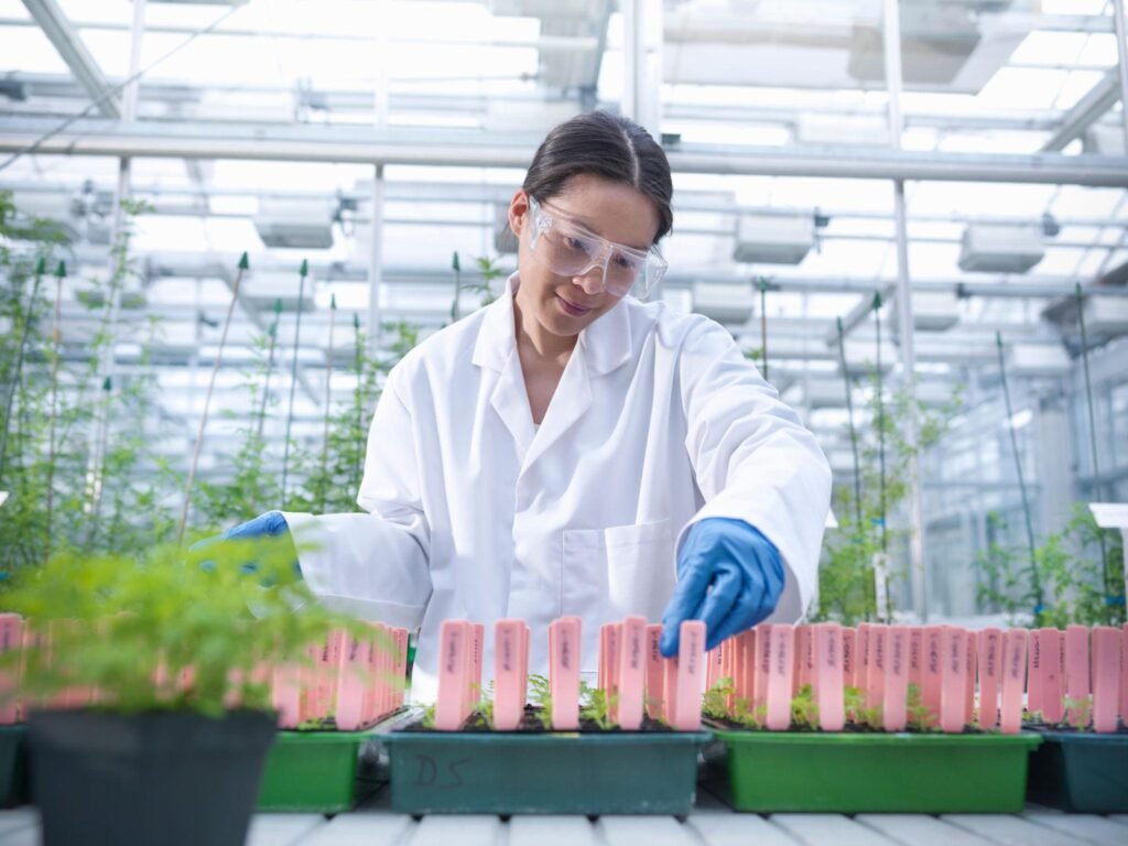 GMO là sinh vật được thay đổi vật liệu di truyền bằng kỹ thuật gen GMO là sinh vật được thay đổi vật liệu di truyền bằng kỹ thuật gen
