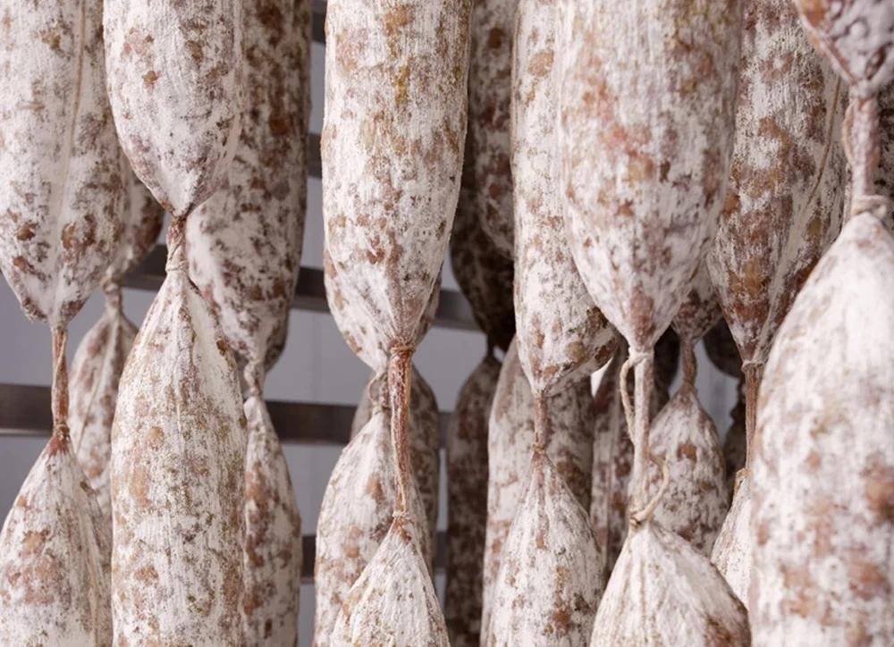 Lớp mốc trắng điều hòa quá trình ủ và phát triển hương vị