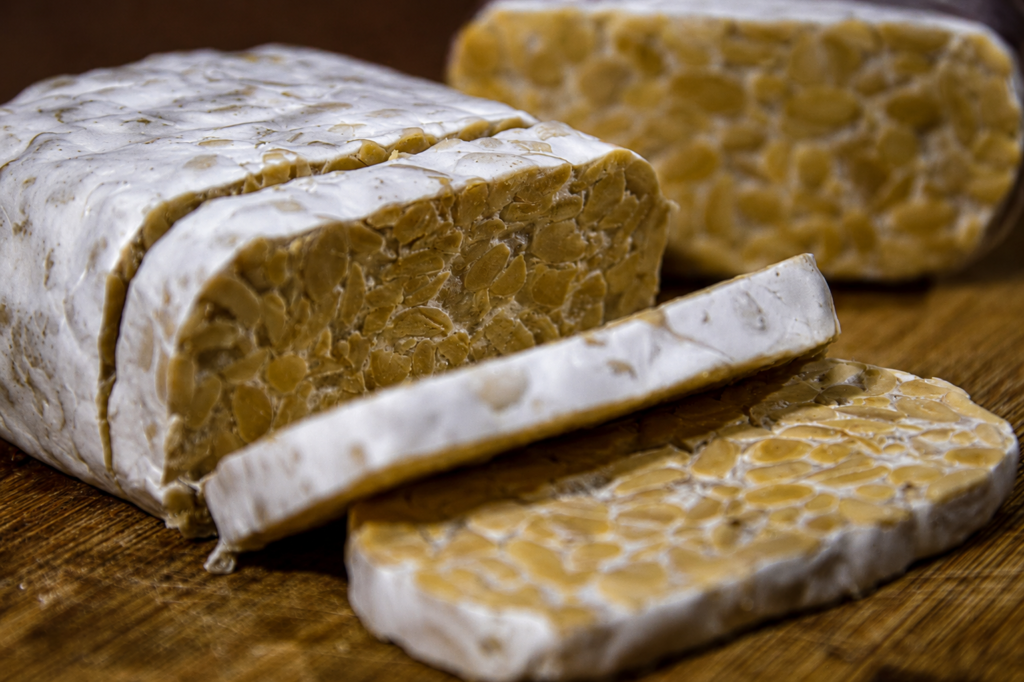 Tempeh với lớp nấm trắng bao phủ hạt đậu nành Tempeh với lớp nấm trắng bao phủ hạt đậu nành