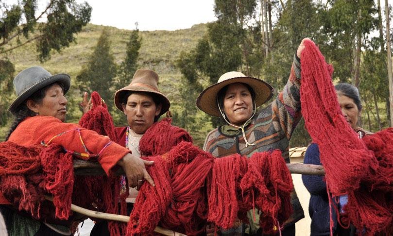Một lượng nhỏ cochineal tạo ra sắc đỏ cực kỳ đậm Một lượng nhỏ cochineal tạo ra sắc đỏ cực kỳ đậm